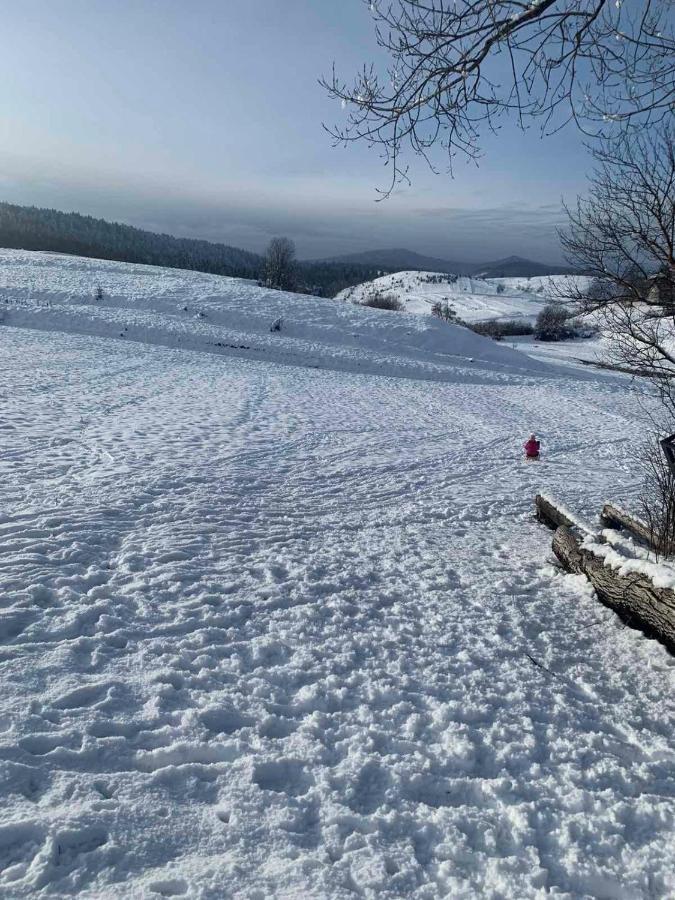 Apartmán Kuca Za Odmor Jagnjic Josipdol Exteriér fotografie